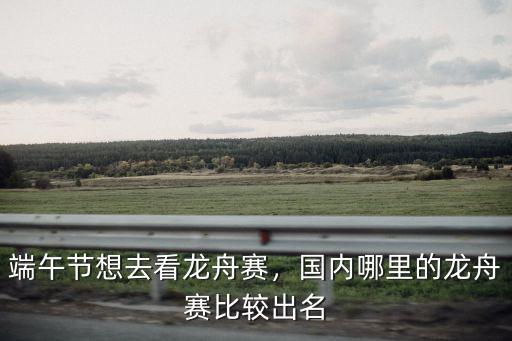 廣東省賽龍舟哪里比較盛行,端午節想去看龍舟賽