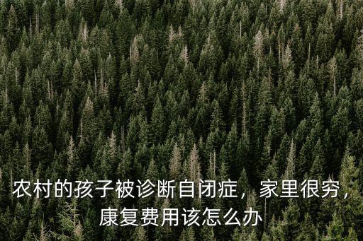 深圳兒童自閉癥診斷多少錢,我的女兒診斷為自閉癥兒童