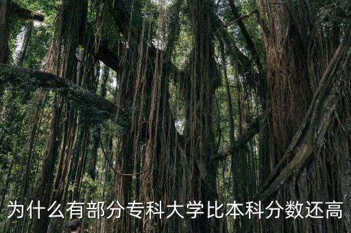 江蘇三本分?jǐn)?shù)線比大專高多少,江蘇考生過二本線十幾分