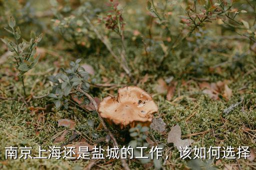 南京上海還是鹽城的工作，該如何選擇