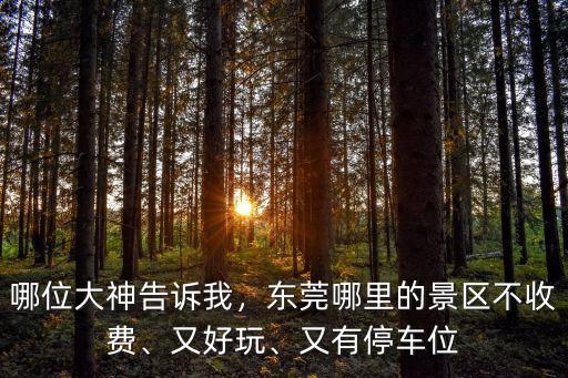 東莞野營哪里好玩,東莞哪里適合野炊和露營