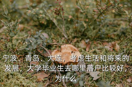 青島和深圳去哪里發(fā)展,蘇州和青島選哪個