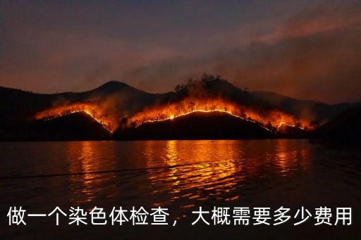做一個染色體檢查，大概需要多少費用