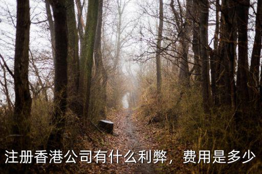 注冊香港公司有什么利弊，費用是多少