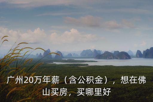 廣州20萬年薪（含公積金），想在佛山買房，買哪里好