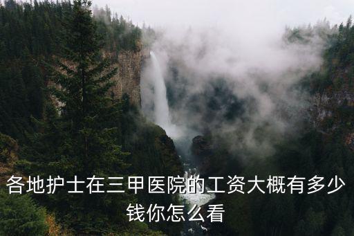 各地護(hù)士在三甲醫(yī)院的工資大概有多少錢你怎么看