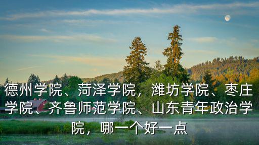 德州學院、菏澤學院，濰坊學院、棗莊學院、齊魯師范學院、山東青年政治學院，哪一個好一點