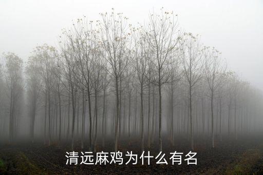 東莞清遠(yuǎn)麻雞配送怎么做,醬油雞怎么做