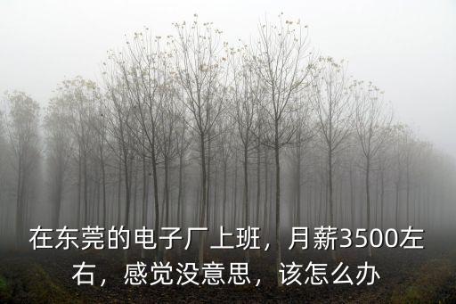東莞華南電子廠工資多少,東莞日華電子廠怎么樣