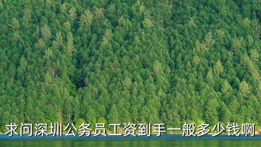 求問深圳公務員工資到手一般多少錢啊