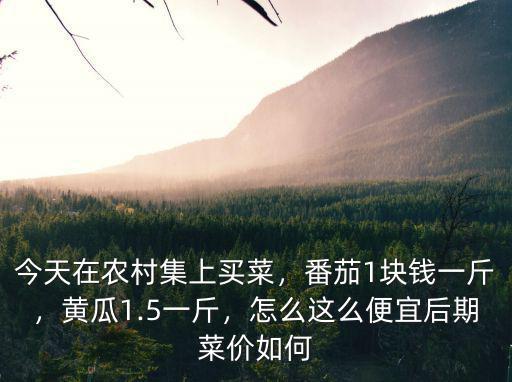 今天在農(nóng)村集上買(mǎi)菜，番茄1塊錢(qián)一斤，黃瓜1.5一斤，怎么這么便宜后期菜價(jià)如何