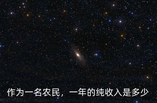 作為一名農民，一年的純收入是多少