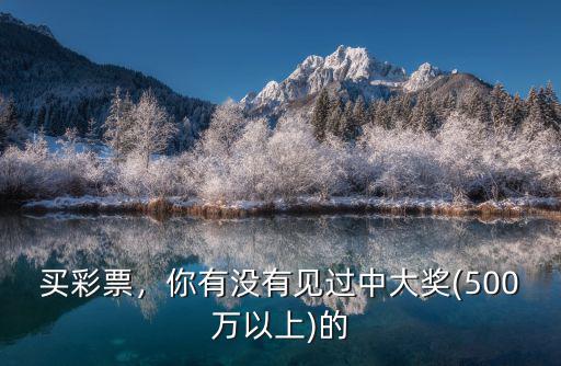 在深圳有多少彩票才中500萬,買彩票中了500萬