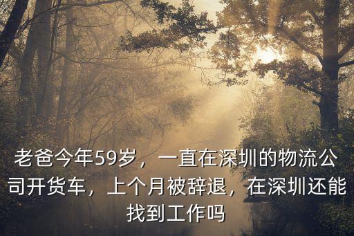 深圳開小型貨車怎么樣,一直在深圳的物流公司開貨車