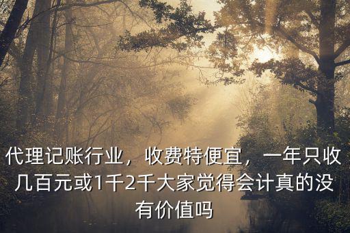 泰安代理記賬費用多少,代理記賬行業