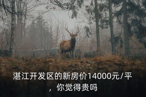 湛江開發(fā)區(qū)的新房價14000元/平，你覺得貴嗎