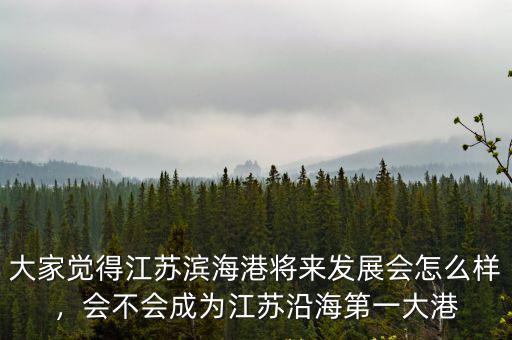 大家覺得江蘇濱海港將來發展會怎么樣，會不會成為江蘇沿海第一大港