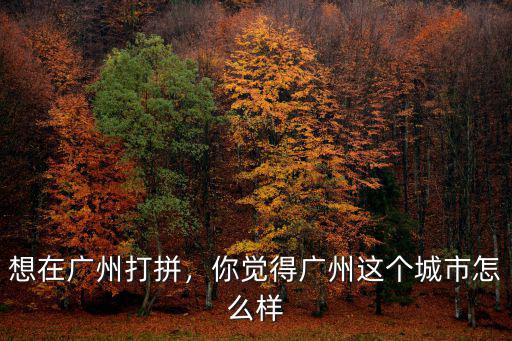 想在廣州打拼，你覺得廣州這個城市怎么樣