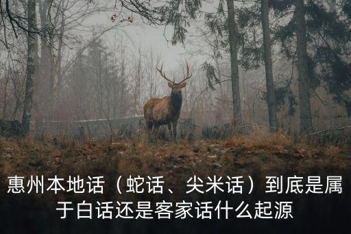 惠州客家話怎么講,惠州河源話是客家話還是白話