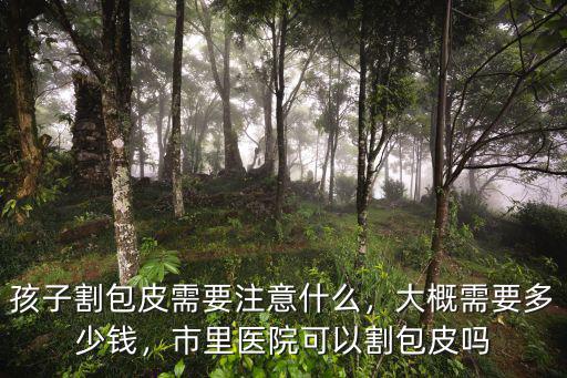 揭陽中醫(yī)院割包皮多少錢,割包皮總共多少錢