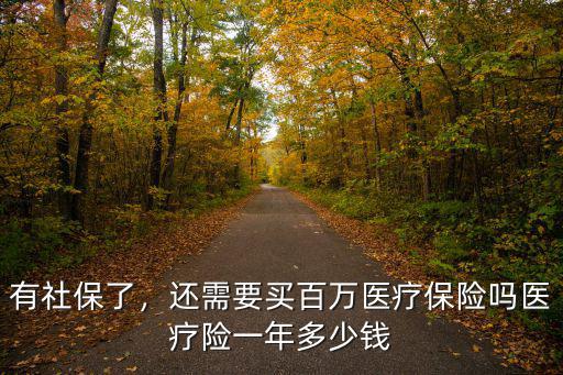 溫州百萬醫(yī)療險每年多少錢,百萬保額的醫(yī)療險一年多少錢