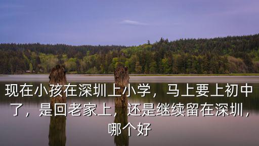 深圳初中怎么回老家,還是深圳對初中