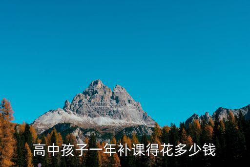 高中孩子一年補課得花多少錢