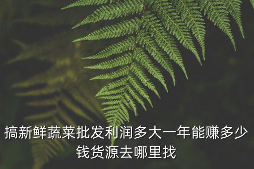搞新鮮蔬菜批發(fā)利潤多大一年能賺多少錢貨源去哪里找