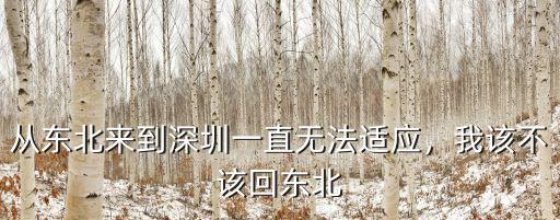 從東北回深圳怎么辦,從東北來到深圳一直無法適應