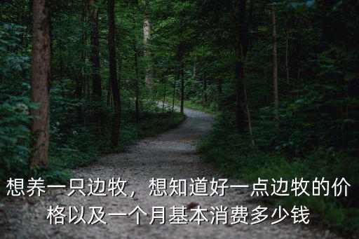 煙臺(tái)邊牧多少錢一只,買一只邊牧需要多少錢