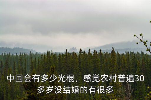 廣東光棍村有多少,廣東經濟如此發達