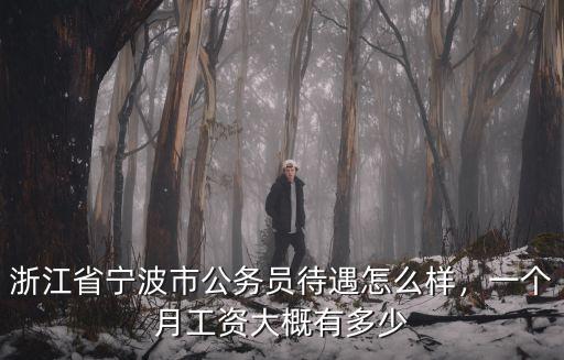 寧波法官工資多少錢一個月,法官一個月大約有多少收入呢