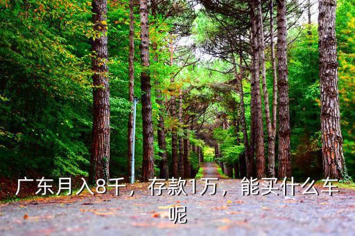 廣東月入8千，存款1萬(wàn)，能買(mǎi)什么車(chē)呢
