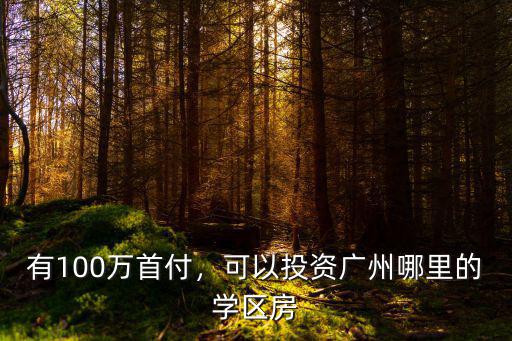 廣州有一百萬怎么投資,一百萬現金怎么投資好