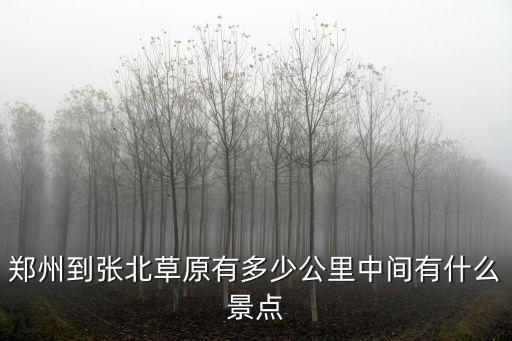 從鄭州到德州有多少公里,中間有什么景點