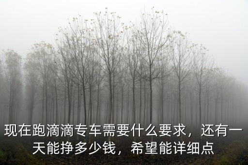 現在跑滴滴專車需要什么要求，還有一天能掙多少錢，希望能詳細點