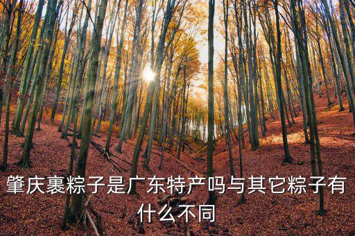 廣東肇慶怎么包粽子,肇慶包粽子用什么粽葉