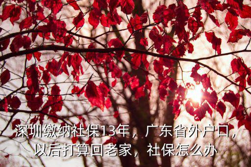 深圳社保10年后回老家怎么交,深圳社保10年后回老家