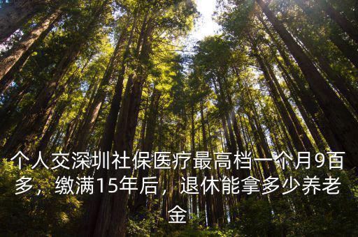 深圳教社保滿后一個月發多少,深圳交滿15年社保