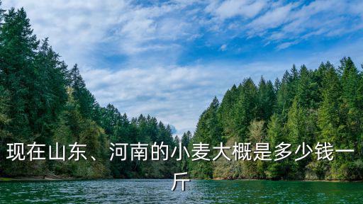 現在山東、河南的小麥大概是多少錢一斤