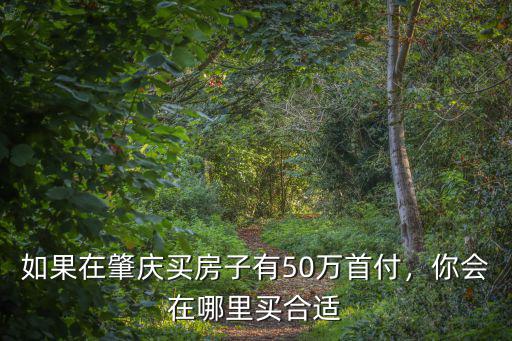 如果在肇慶買房子有50萬首付，你會在哪里買合適