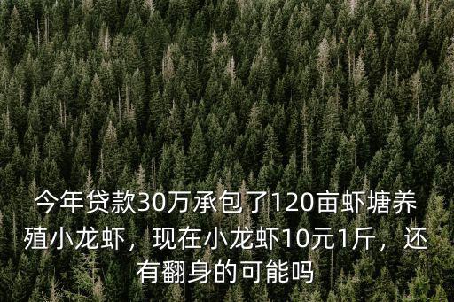 今年貸款30萬承包了120畝蝦塘養殖小龍蝦，現在小龍蝦10元1斤，還有翻身的可能嗎