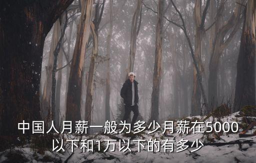 江蘇鎮(zhèn)長(zhǎng)年薪多少,中國(guó)人月薪一般為多少