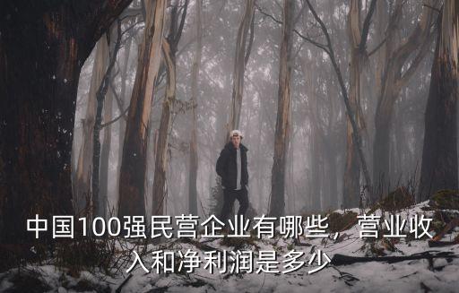 中國房企100強(qiáng)廣東占多少,中國100強(qiáng)民營企業(yè)有哪些