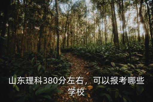 山東二本理科分數線是多少,山東理科380分左右