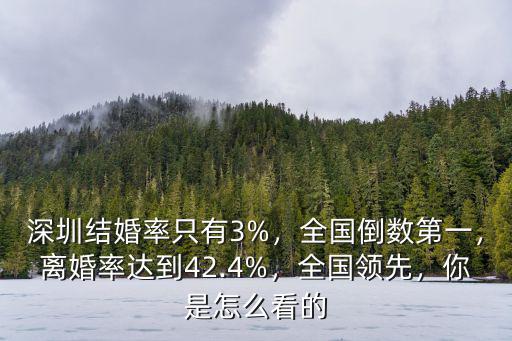 深圳哪里結婚,如果想在深圳結婚定居