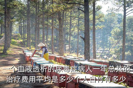 山東尿毒癥報銷完花多少錢,個人自付有多少