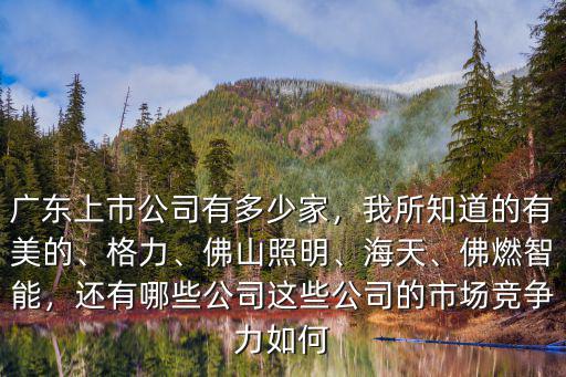 佛山多少上市公司,廣東上市公司有多少家