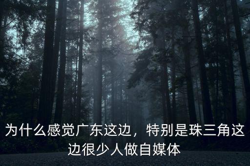 為什么感覺廣東這邊，特別是珠三角這邊很少人做自媒體