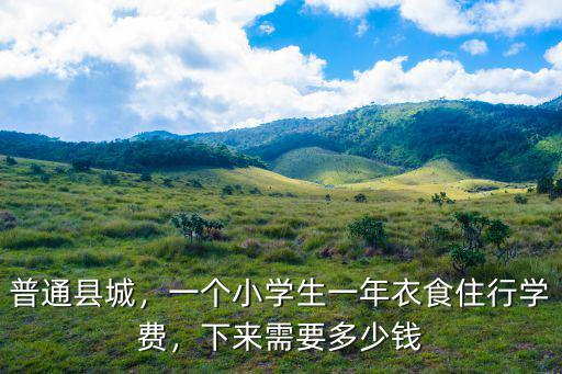 普通縣城，一個小學生一年衣食住行學費，下來需要多少錢